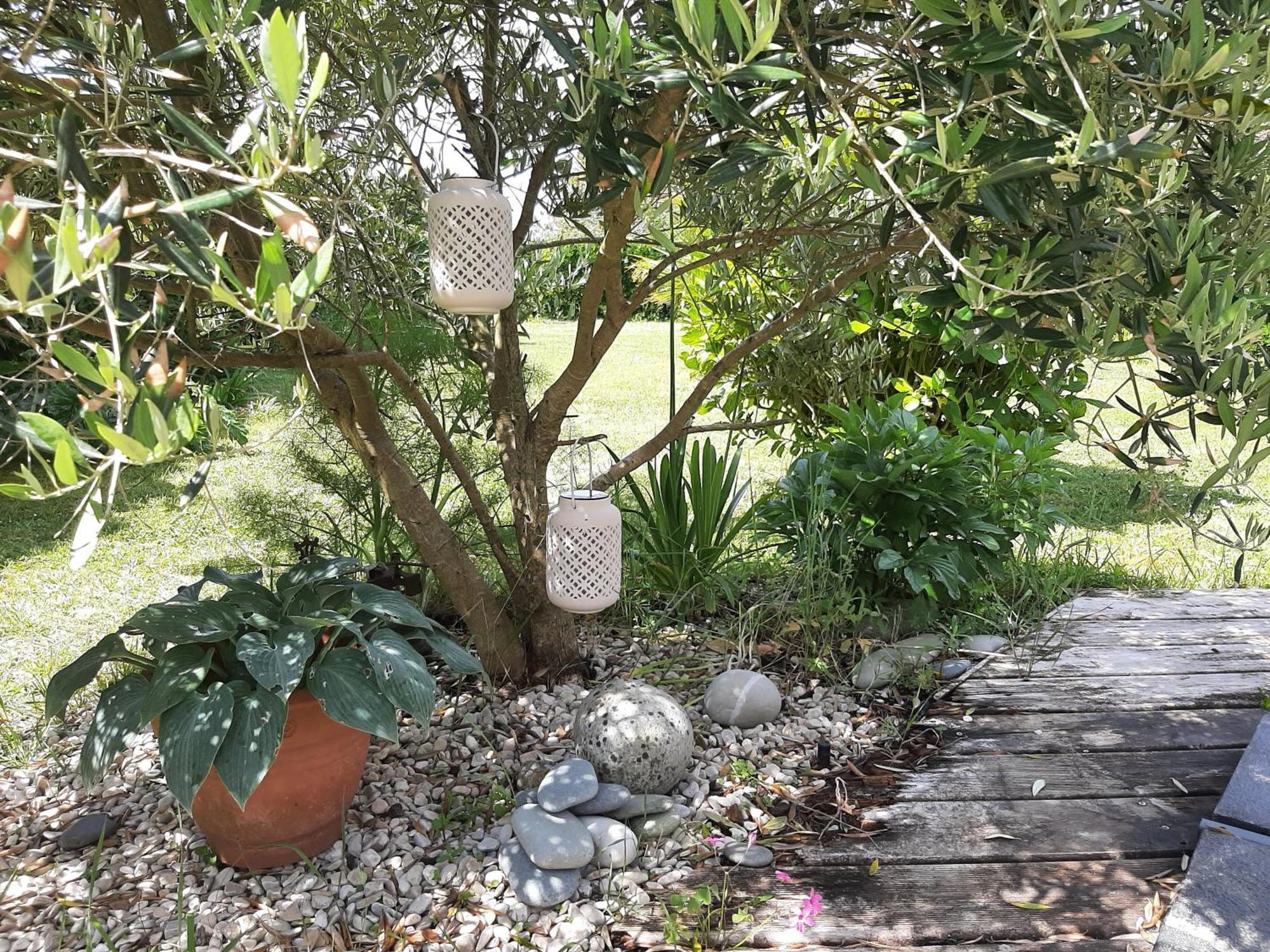 Maison Chaleureuse Bord De Mer Primelin Esterno foto